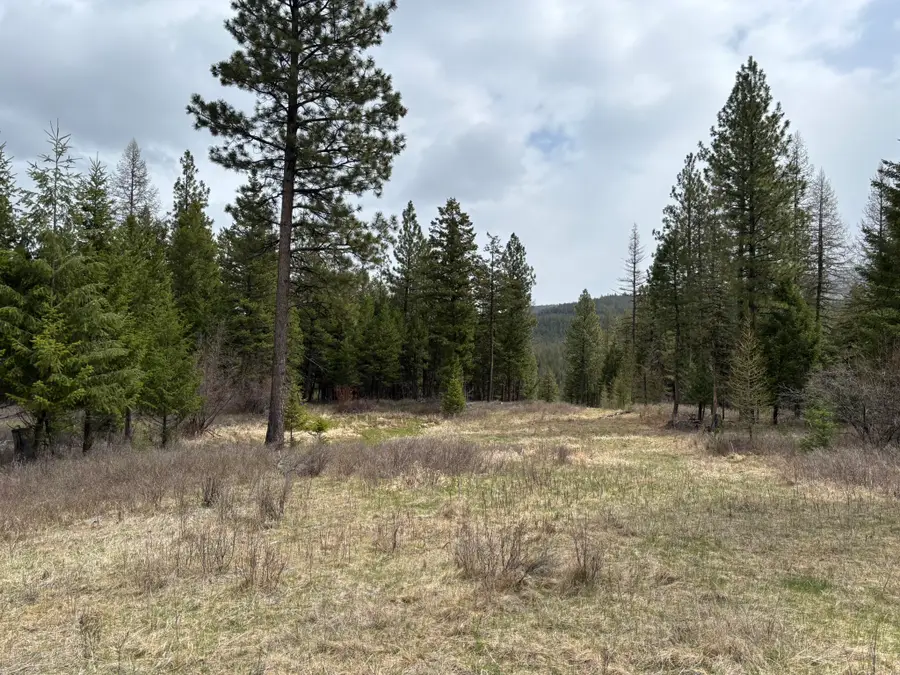 52 Haskill Ranch Road #Lot-3, Kila, MT 59920 - #3