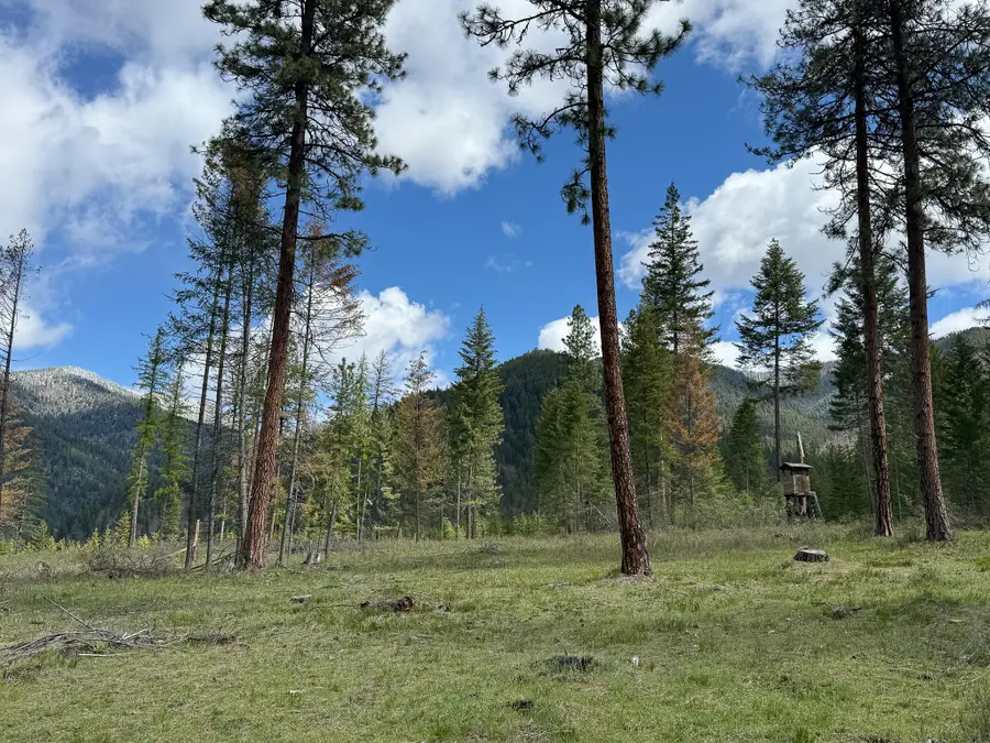 47 Dickson Drive, Thompson Falls, MT 59873 - #3