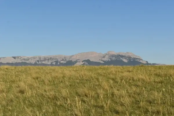 Lot 50 Meadowlark Lane, Augusta, MT 59410