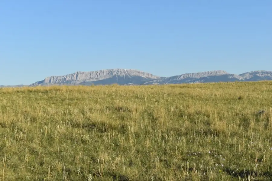 Lot 50 Meadowlark Lane, Augusta, MT 59410 - #2