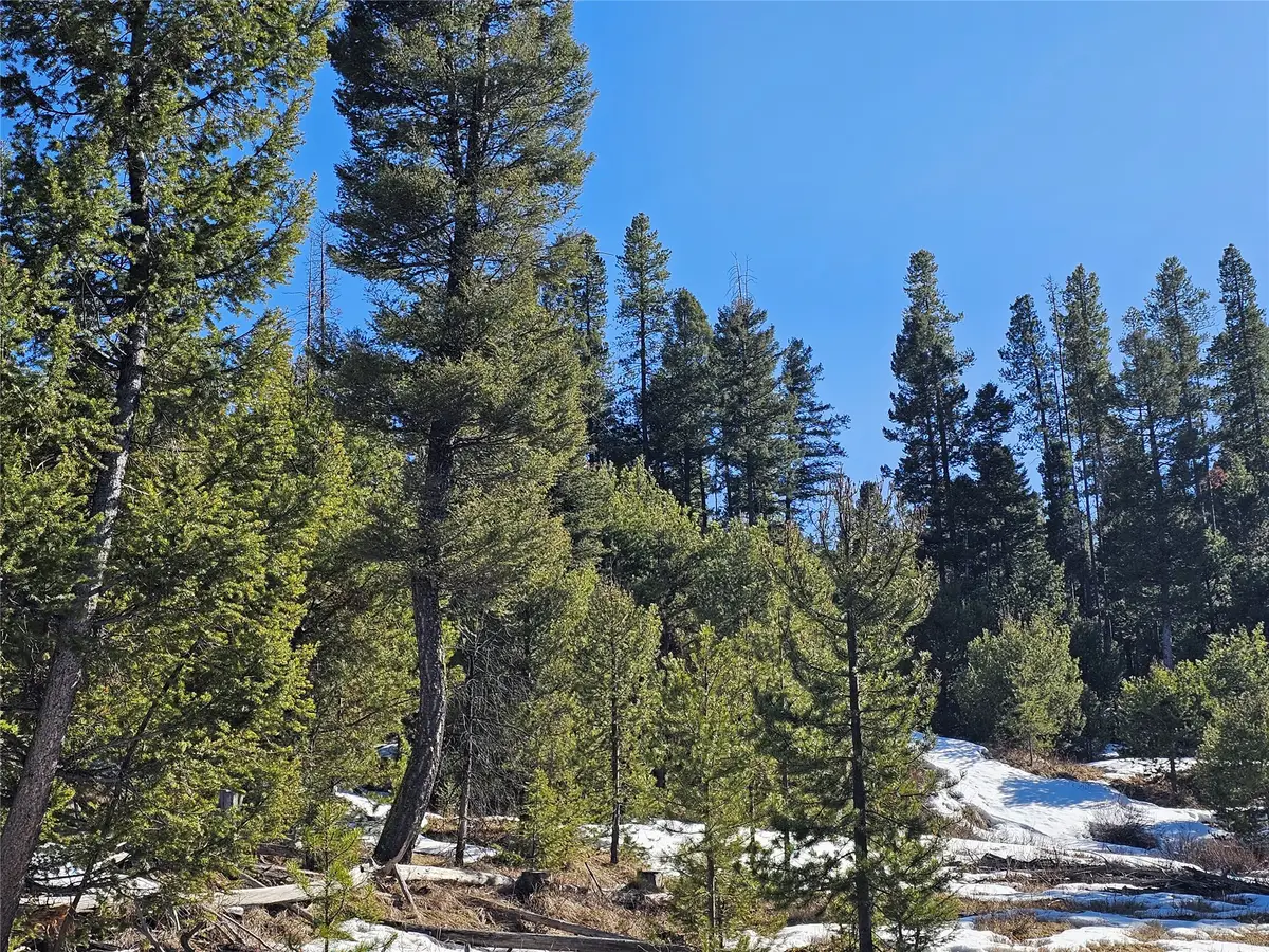 NHN Elk Horn Road, Helmville, MT 59843 - #1