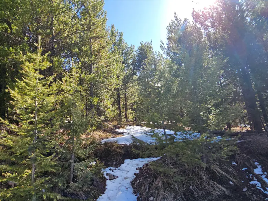 NHN Elk Horn Road, Helmville, MT 59843 - #2