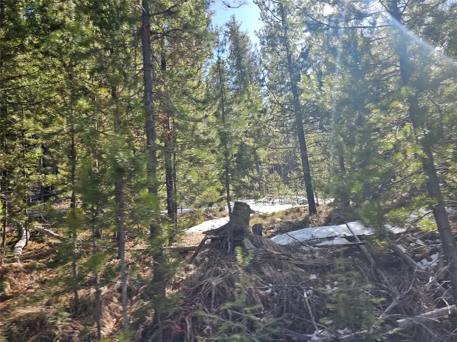 NHN Elk Horn Road, Helmville, MT 59843 - #3