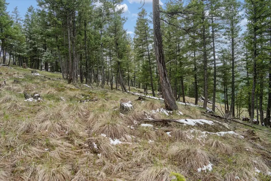NHN Elk Ranch Road, Kila, MT 59920 - #3
