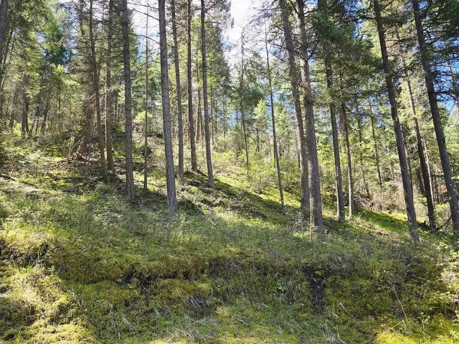 93 Wapiti Point Road, Thompson Falls, MT 59873 - #2