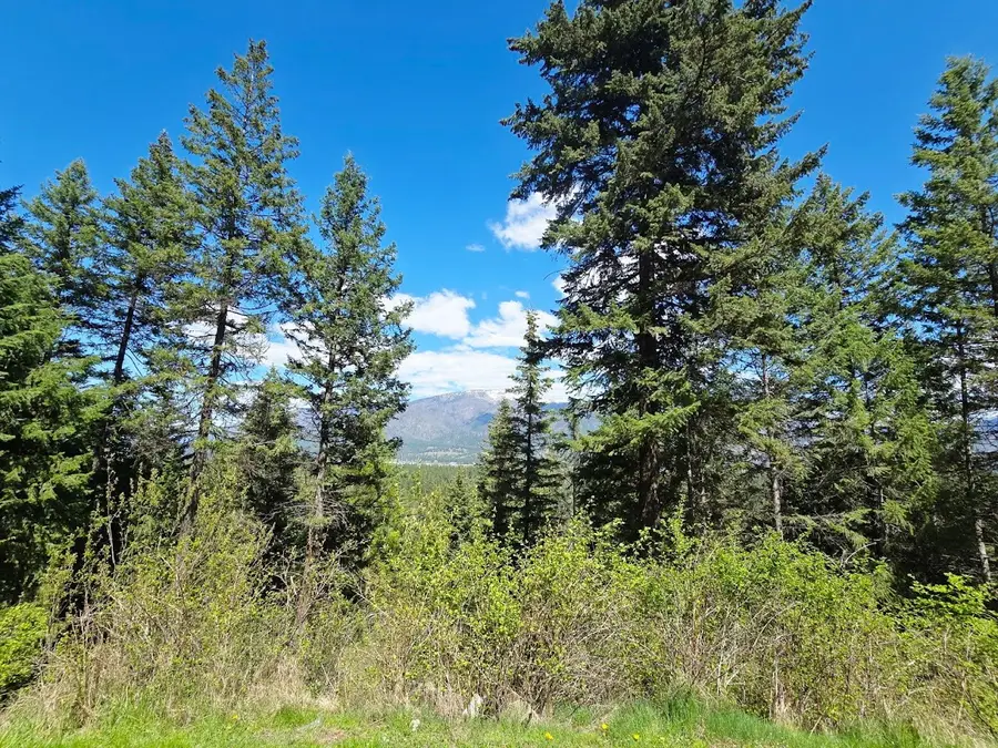 93 Wapiti Point Road, Thompson Falls, MT 59873 - #3