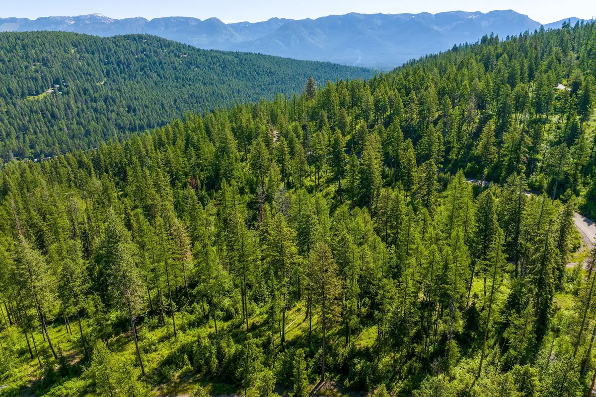 139 Timberjack Trail, Bigfork, MT 59911 - #1