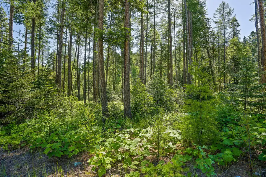 139 Timberjack Trail, Bigfork, MT 59911 - #3