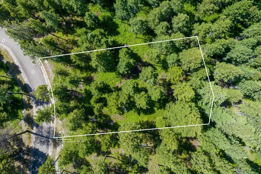369 Chief Cliff Trail, Bigfork, MT 59911 - #2
