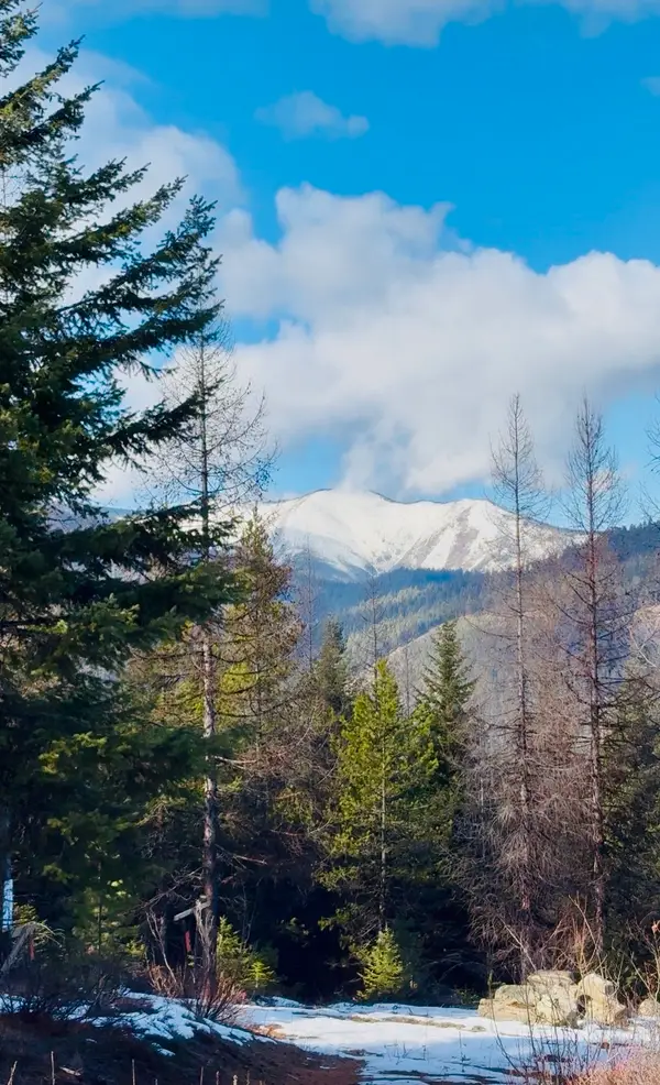 Lots 5 & 6 Panoramic View Drive, Libby, MT 59923