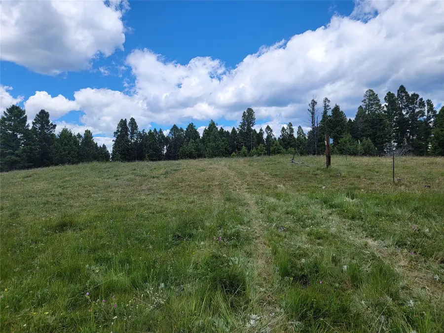 Lot 83 Hoover Creek Road, Helmville, MT 59843 - #3