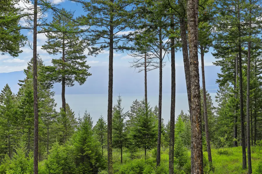 156 Goldenview Lane, Lakeside, MT 59922 - #3