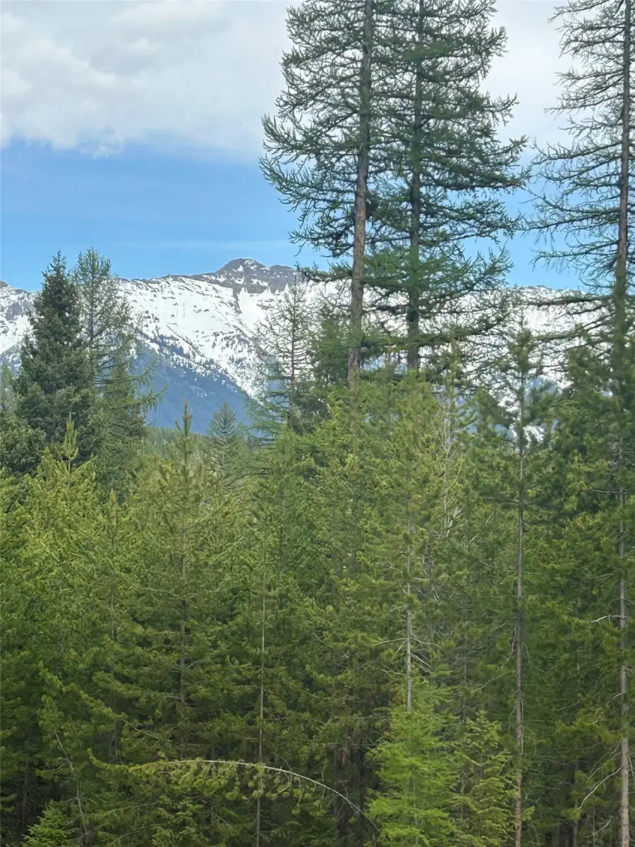 409 Old Barn Road, Seeley Lake, MT 59868 - #2