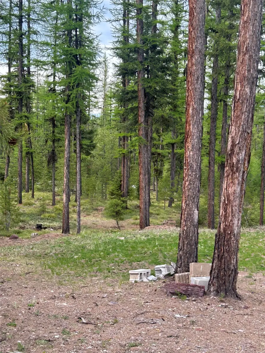 409 Old Barn Road, Seeley Lake, MT 59868 - #3