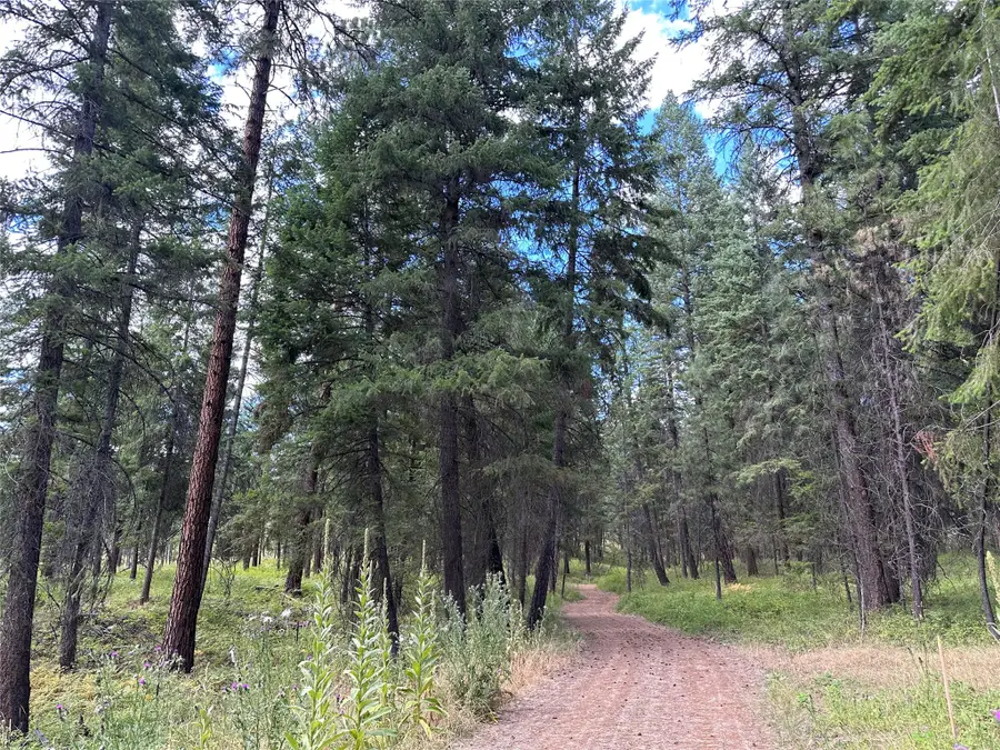 NHN Farlan Lane, Thompson Falls, MT 59873 - #2