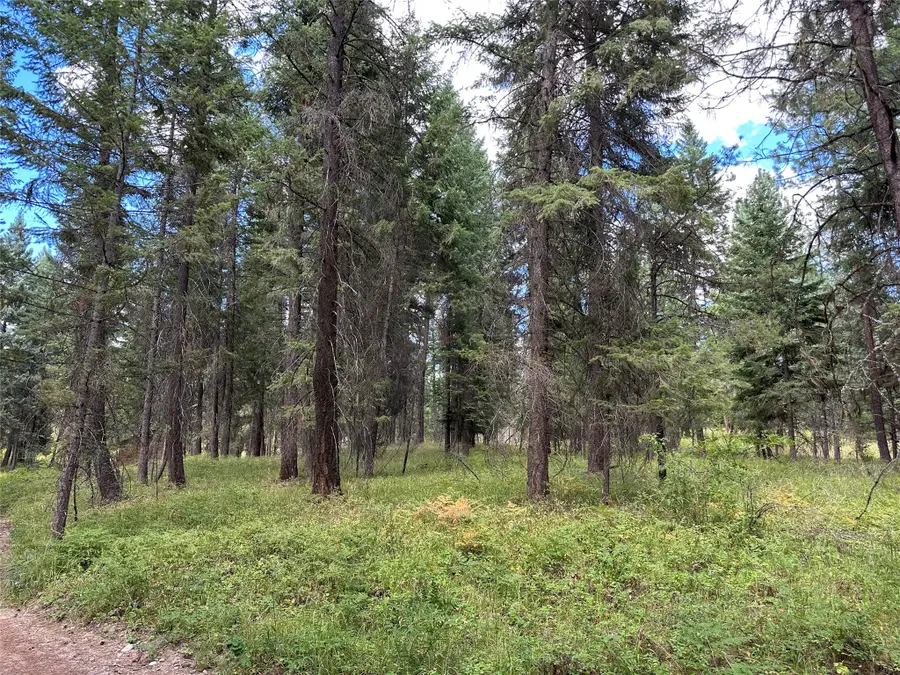 NHN Farlan Lane, Thompson Falls, MT 59873 - #3