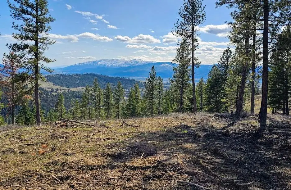 3485 Ridge View Road, Missoula, MT 59808 - #1