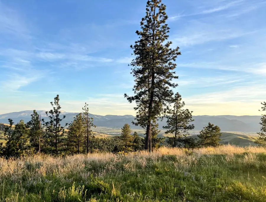 3485 Ridge View Road, Missoula, MT 59808 - #3