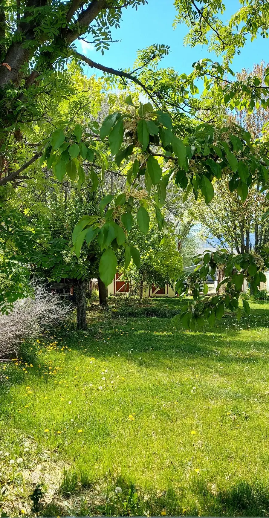 177 Blake Street, Victor, MT 59875 - #2