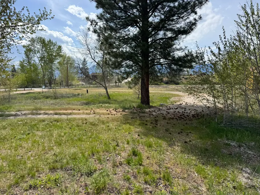 118 W Tucker Crossing, Victor, MT 59875 - #3