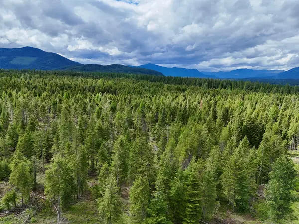 Nhn S Squire Lane, Trout Creek, MT 59874