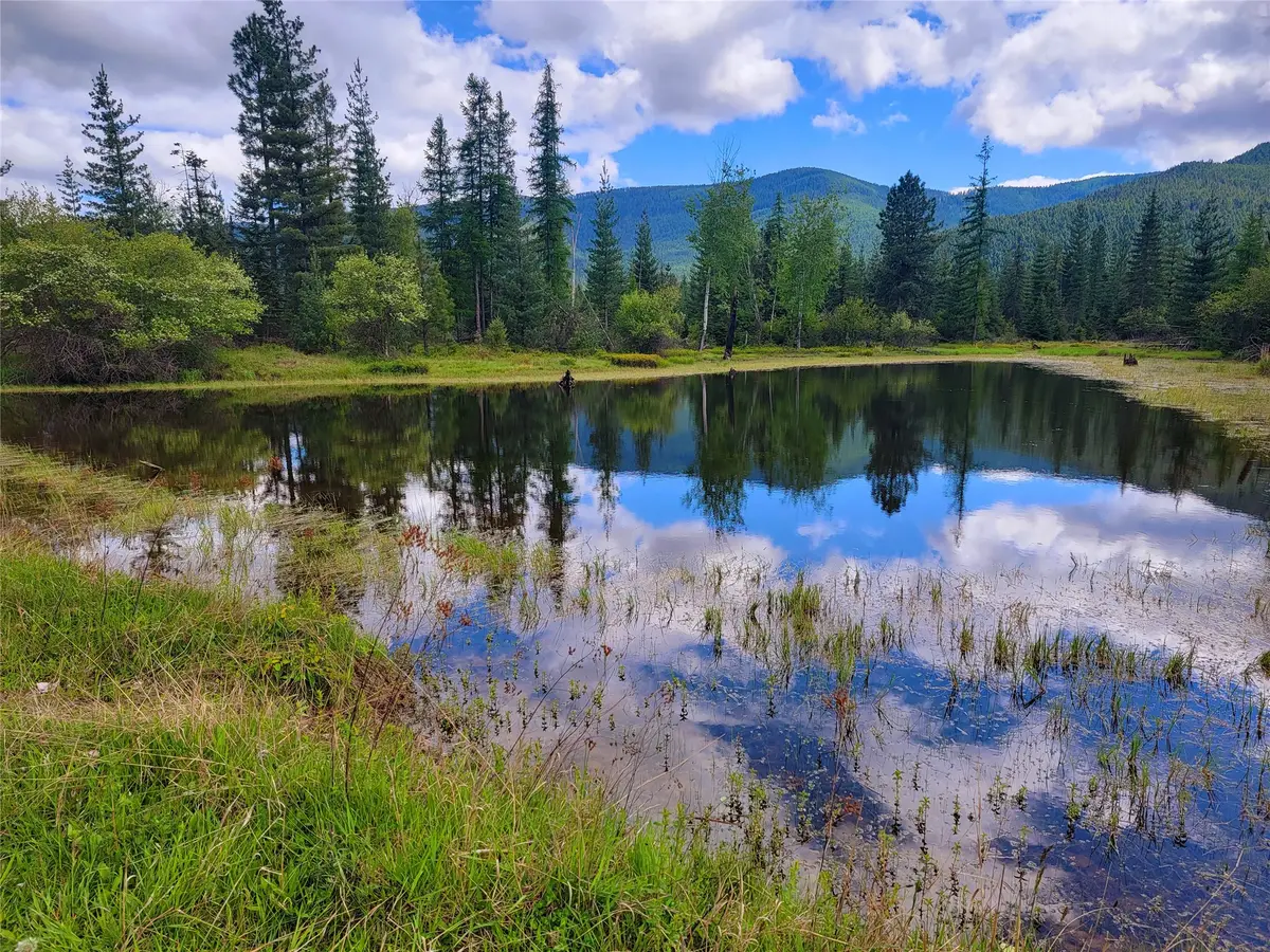 440 Trout Creek Road, Trout Creek, MT 59874 - #1