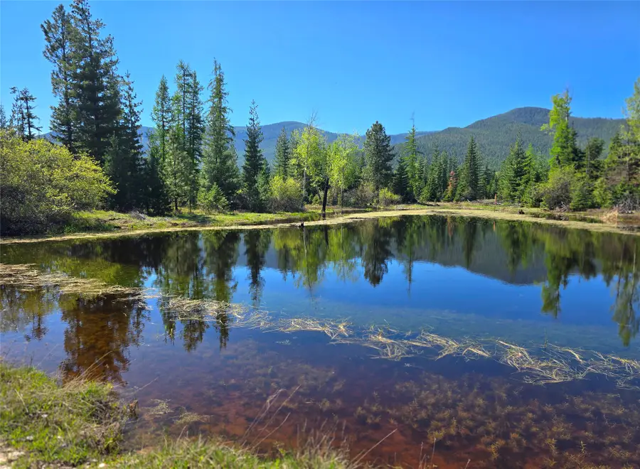 440 Trout Creek Road, Trout Creek, MT 59874 - #3