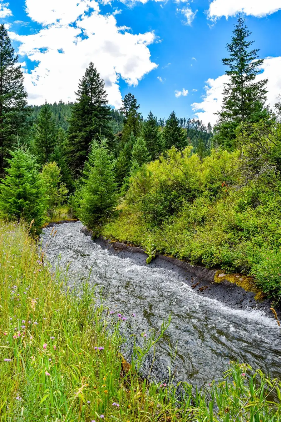 NHN St. Mary's Lake Road, Saint Ignatius, MT 59865 - #2