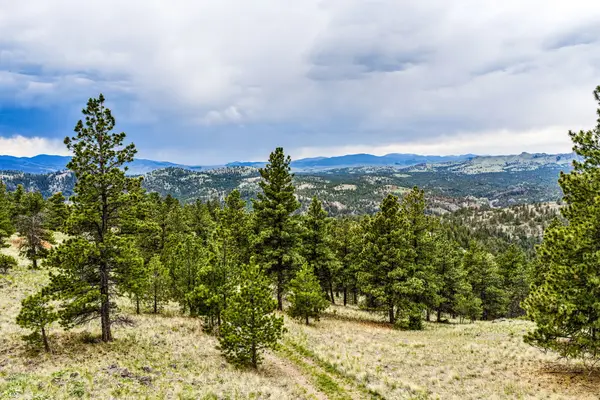 TBD Ridge Crest Lane, Cascade, MT 59421