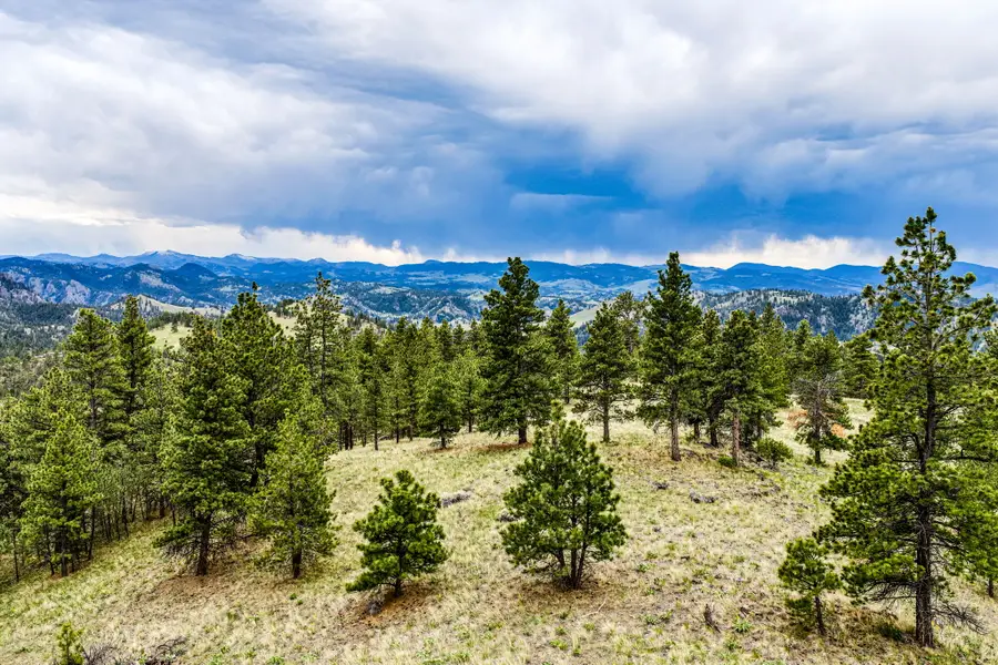 TBD Ridge Crest Lane, Cascade, MT 59421 - #2