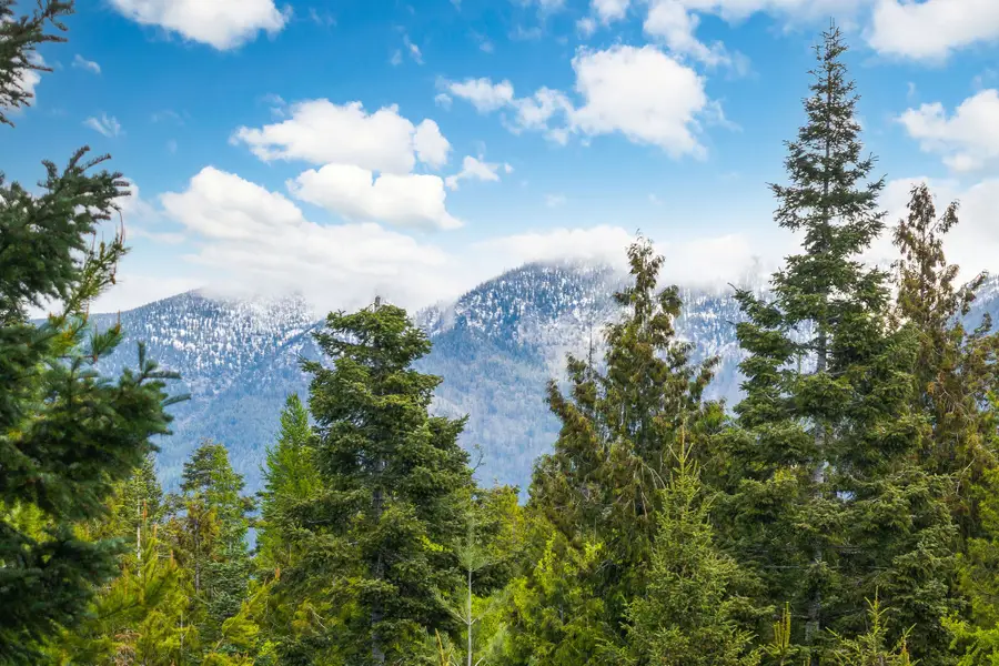30612 Three Turtle Crossing, Bigfork, MT 59911 - #2