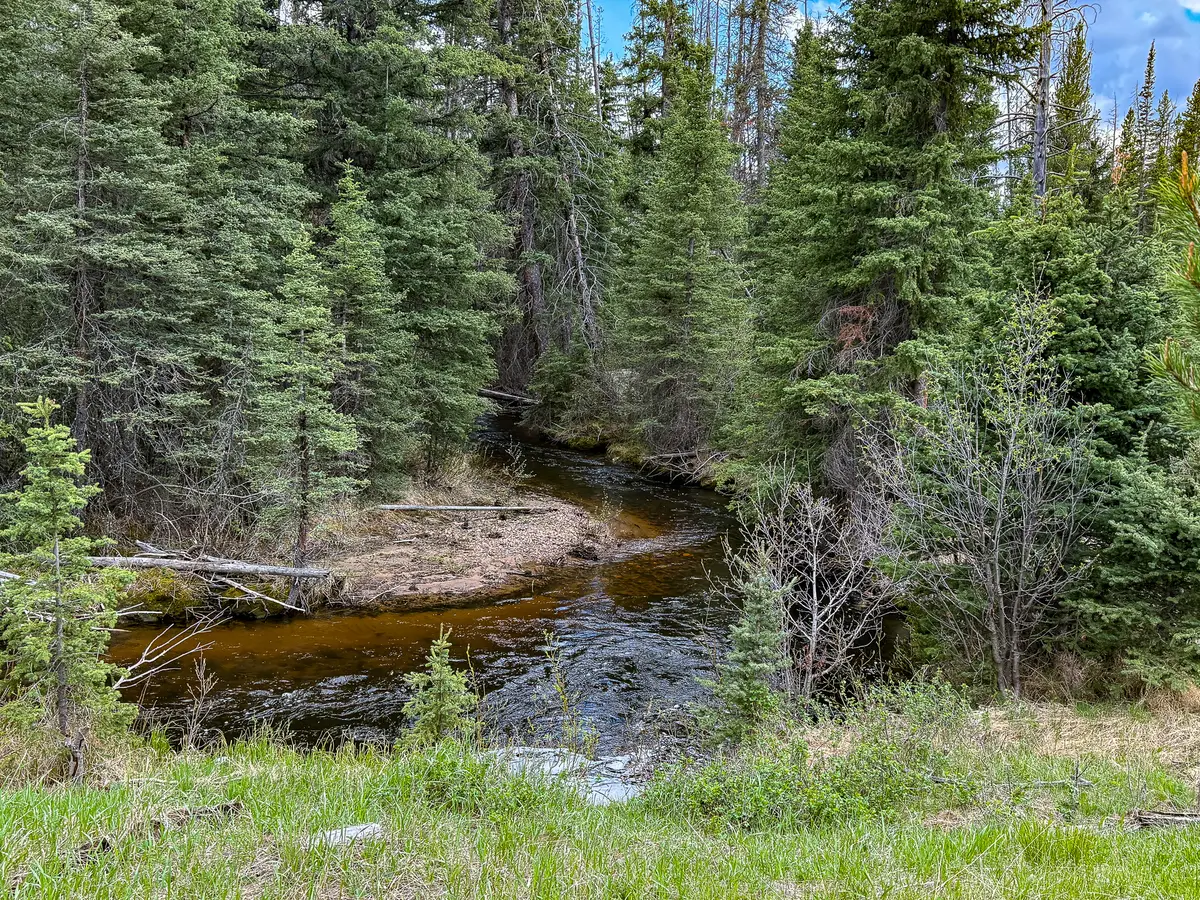 NHN (Clipper Lode) Cataract Creek Road, Boulder, MT 59632 - #1
