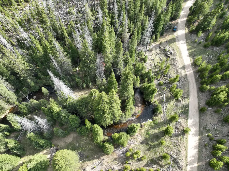 NHN (Clipper Lode) Cataract Creek Road, Boulder, MT 59632 - #3