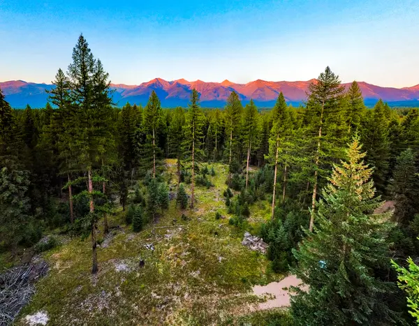 NHN Scenic Drive, Condon, MT 59826