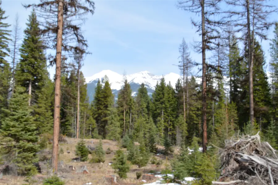 NHN Scenic Drive, Condon, MT 59826 - #2