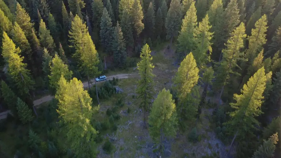 NHN Scenic Drive, Condon, MT 59826 - #3