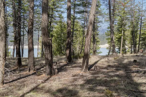 NHN Cove Drive, Rexford, MT 59930