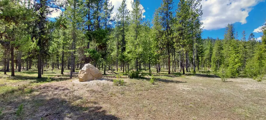 NHN (Parcel A) Deer Walk Way, Darby, MT 59829 - #2