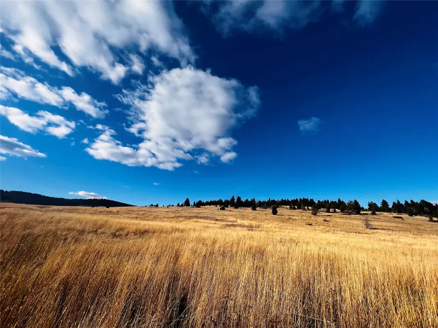 TBD Livingston Peak Road, Livingston, MT 59047 - #2