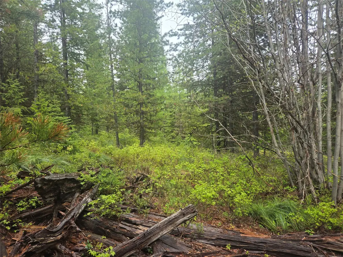 Tract 18 Nine Mile Road, Huson, MT 59846 - #1