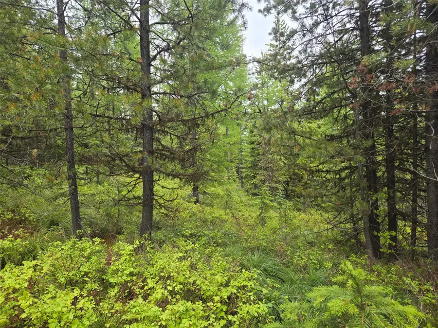 Tract 18 Nine Mile Road, Huson, MT 59846 - #2