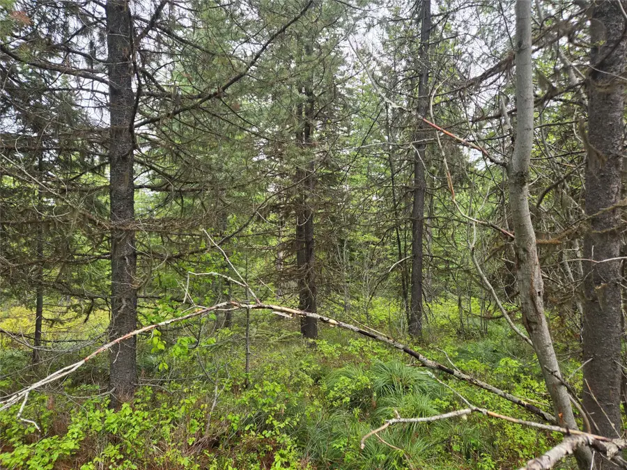 Tract 18 Nine Mile Road, Huson, MT 59846 - #3