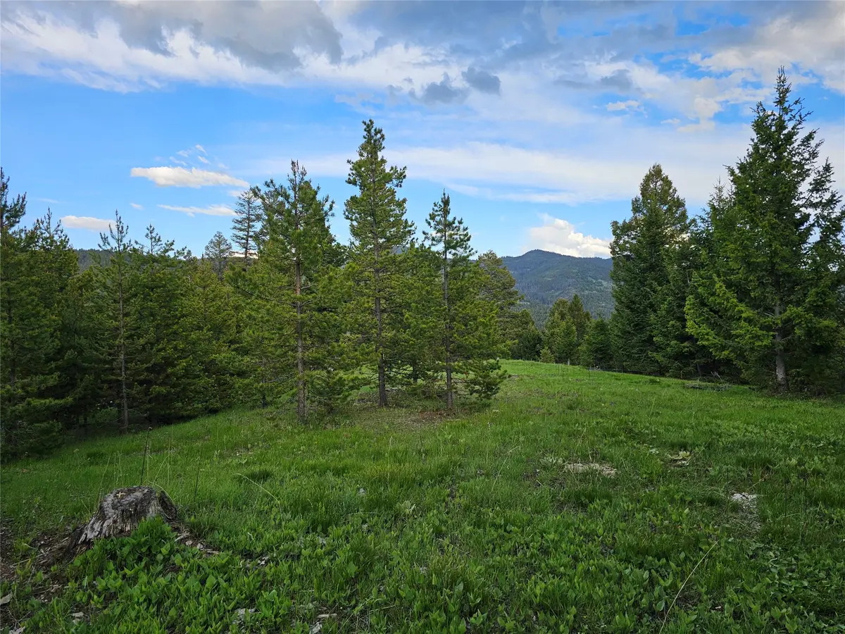NHN Hematite Road, Gold Creek, MT 59733 - #1