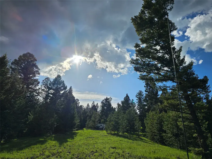 NHN Hematite Road, Gold Creek, MT 59733 - #2