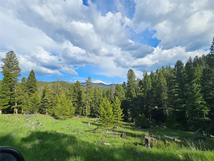 NHN Hematite Road, Gold Creek, MT 59733 - #3