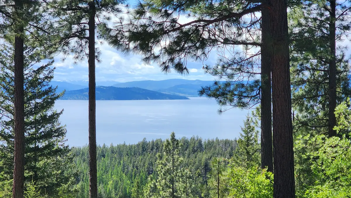 31683 Lake To Sky Drive, Bigfork, MT 59911 - #1