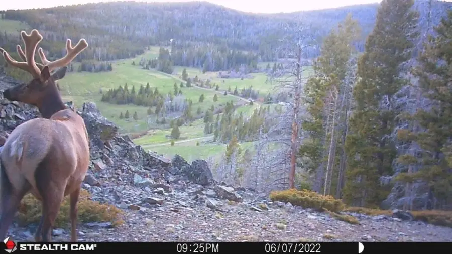 TBD Indian Creek Road, Townsend, MT 59644 - #2