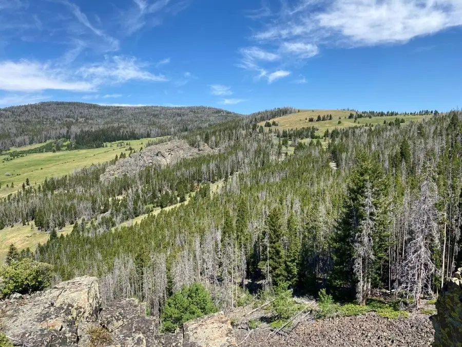 TBD Indian Creek Road, Townsend, MT 59644 - #3