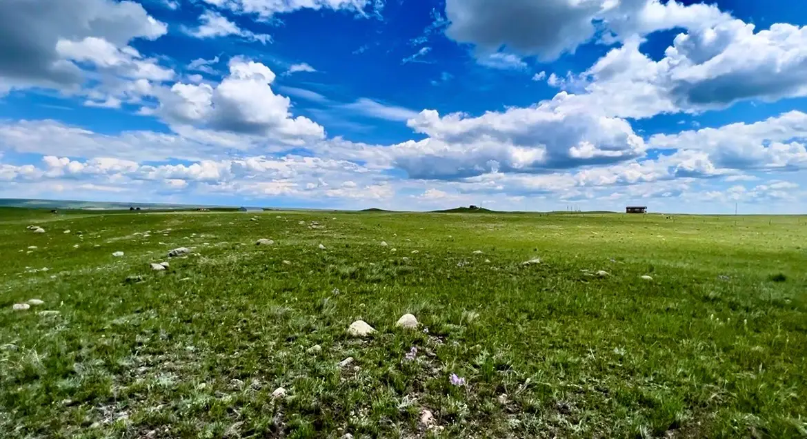 Lot 216 S Tamarack Drive, Augusta, MT 59410 - #1