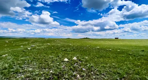 Lot 216 S Tamarack Drive, Augusta, MT 59410